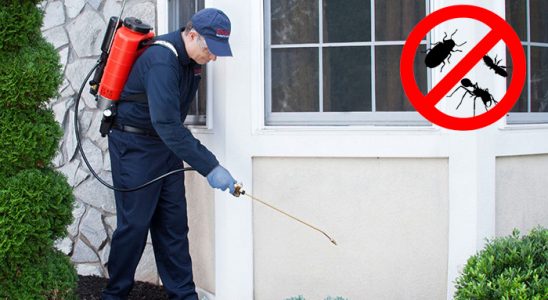 Günyüzü Dezenfeksiyon böcek ilaçlama ve haşere kontrolü — ilaclama-tr.com